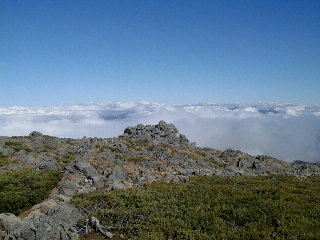 登山道より